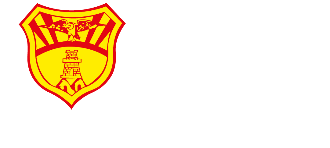 Concentración Deportiva de Pichincha Logo